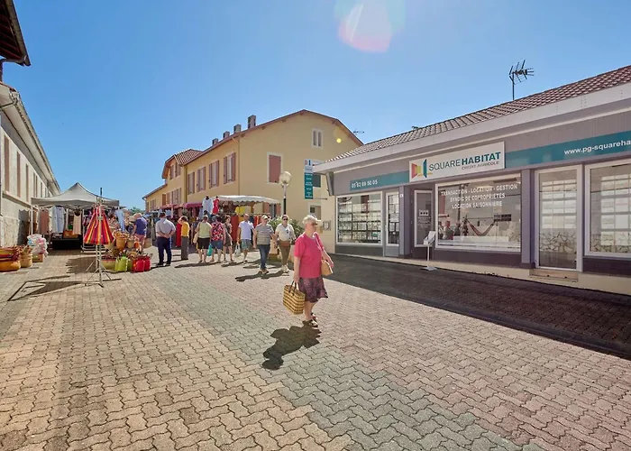 T1 Sud, Balcon, Animaux Bienvenus, Wifi Inclus - 2 Pers. - Fr-1-841-40 شقة